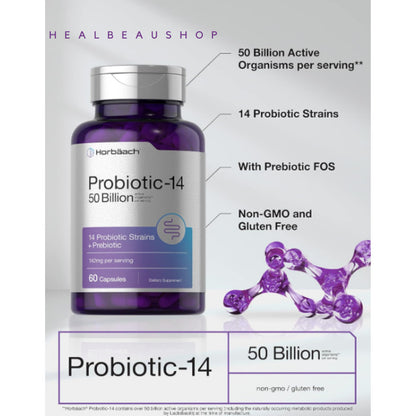 Horbaach Probiotic + Prebiotic 50 Billion CFU – 60 Capsules | Digestive, Gut & Stomach Health Support