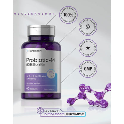 Horbaach Probiotic + Prebiotic 50 Billion CFU – 60 Capsules | Digestive, Gut & Stomach Health Support